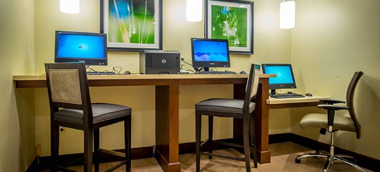 Staybridge Suites 迪尔伯恩 MI by IHG(Staybridge Suites Dearborn MI)图片