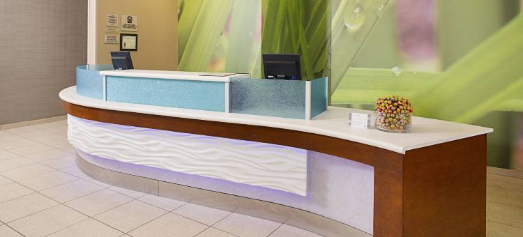 SpringHill Suites Dallas Richardson/Plano图片