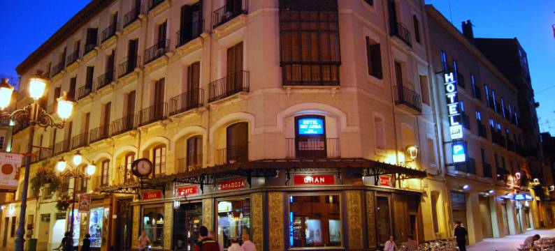 里奥阿尔加中心酒店(Hotel Rio Arga)图片