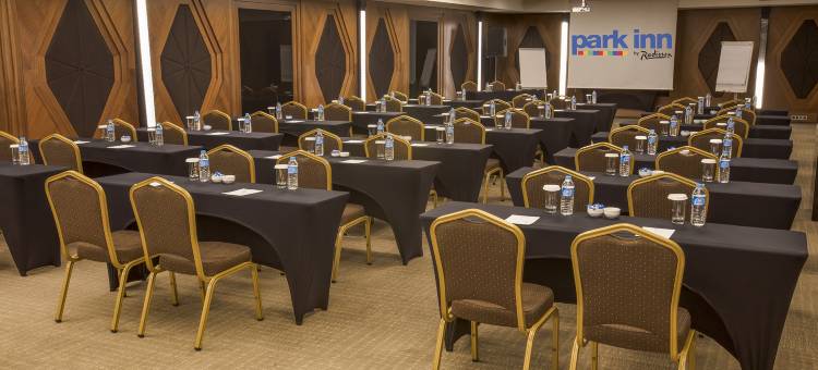 伊斯坦布尔亚洲卡瓦奇克丽柏酒店(Park Inn by Radisson Istanbul Asia Kavacik)图片