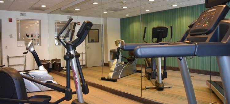 Holiday Inn Express 威尼斯(Holiday Inn Express Venice)图片