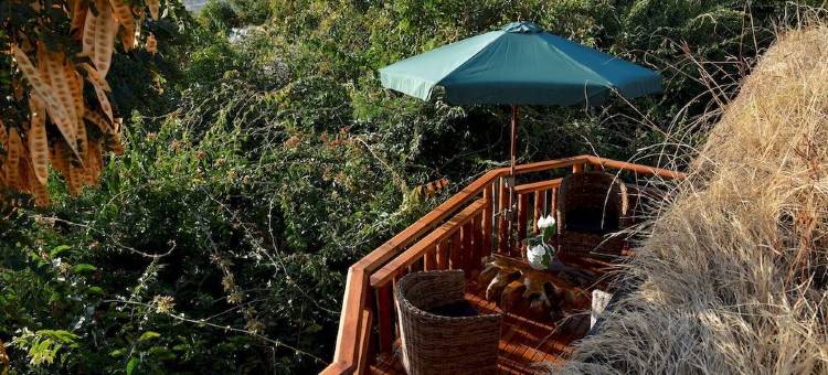 罗氏绢毛猴水疗小屋(Lodge Roche Tamarin)图片