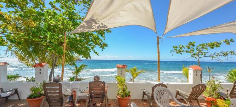 椰子棕榈树旅馆(Coconut Palms Inn)图片