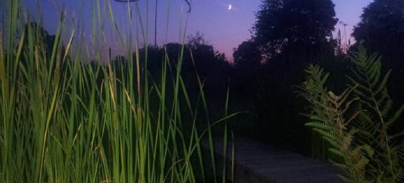 尤尼埃拉雅奈宅邸(La Maison Jaune à la Janaie)图片