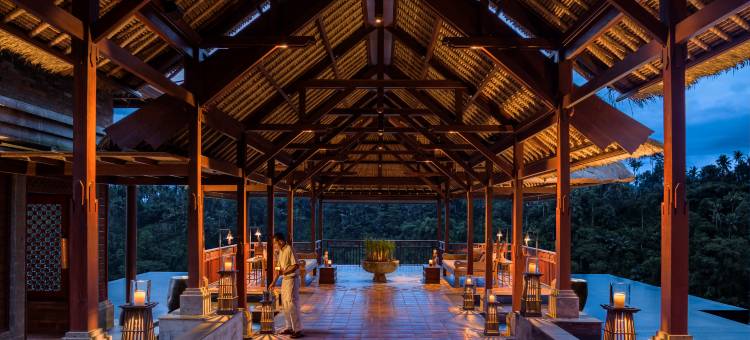 曼答帕丽思卡尔顿隐世酒店(Mandapa, a Ritz-Carlton Reserve)图片