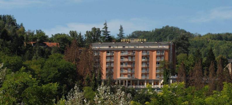 披尼塔酒店(Pineta)图片