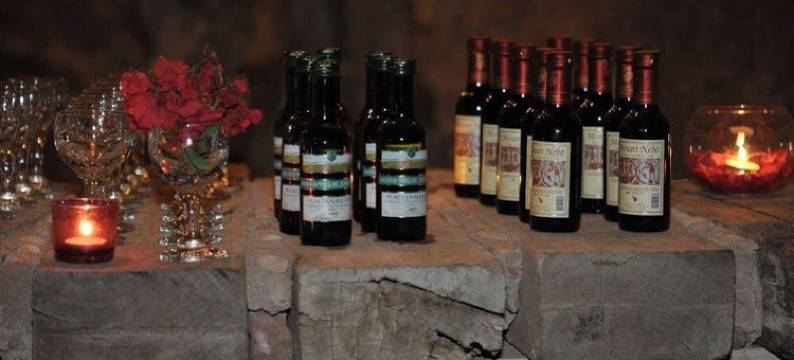 岩石营地酒店(The Rock Camp)图片