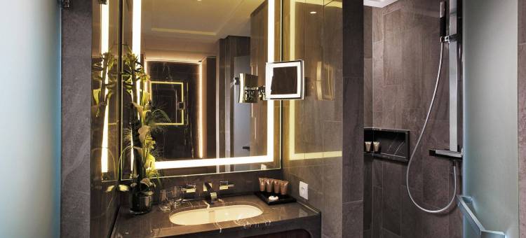 布鲁塞尔唐拉雅秀酒店(Tangla Hotel Brussels)图片