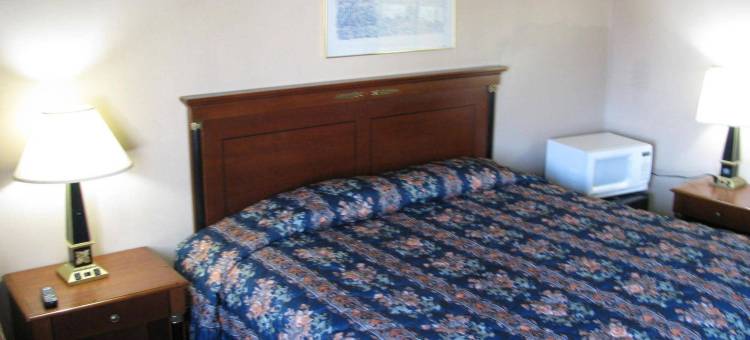 南荷兰温德姆速8酒店(Super 8 by Wyndham South Holland)图片