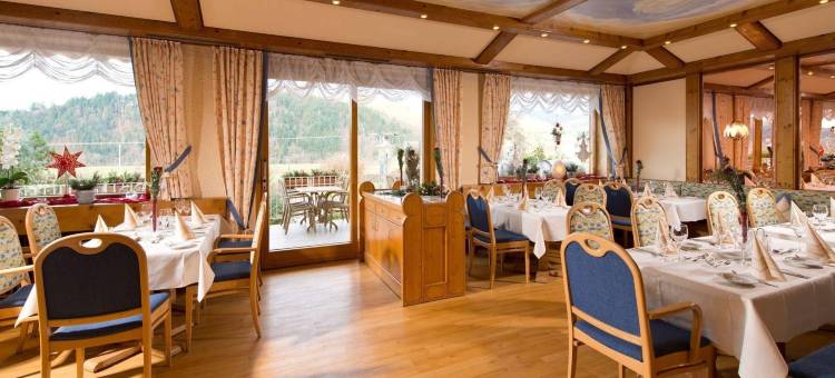 黑森林酒店(Silberkönig Schwarzwald Hotel & Restaurant Ringhotel)图片
