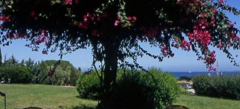 斯特尔海洋酒店(Hotel Stelle Marine)图片