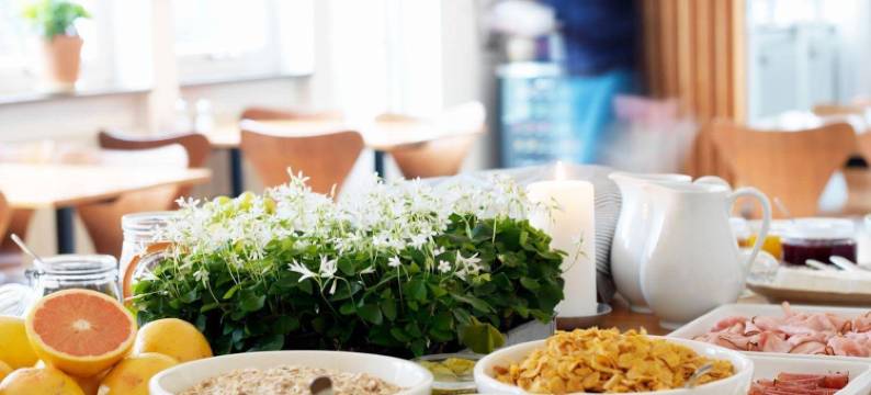 考克斯卡花园酒店(Hotel Kockska Gården)图片