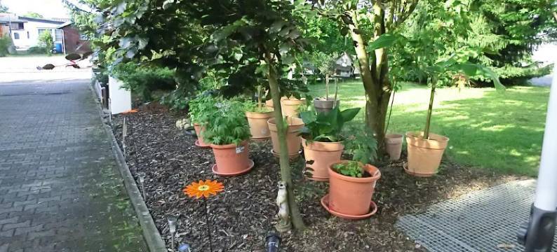 杜尔梅尔斯海姆酒店(Hotel-Durmersheim)图片