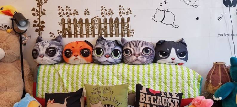 花莲猫猫咪亚民宿图片
