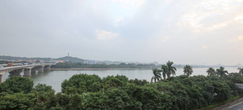 滨江商务酒店(东莞石碣店)图片