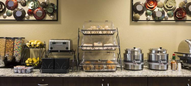 卡罗尔顿麦客达套房酒店(Microtel Inn & Suites by Wyndham Carrollton)图片