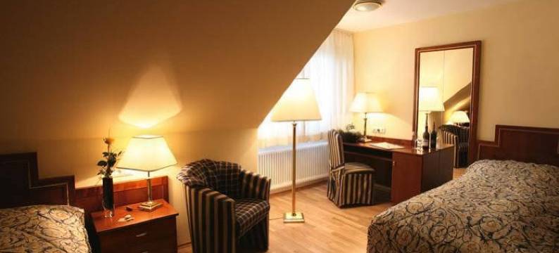 高登阿德尔酒店(Goldener Adler)图片