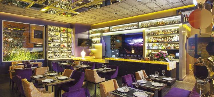 100 奢华套房 - 优选酒店(100 Luxury Suites)图片