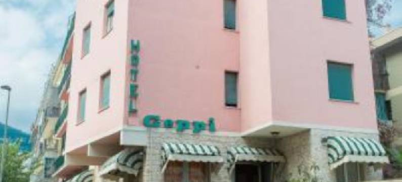 盖佩酒店(Hotel Geppi)图片