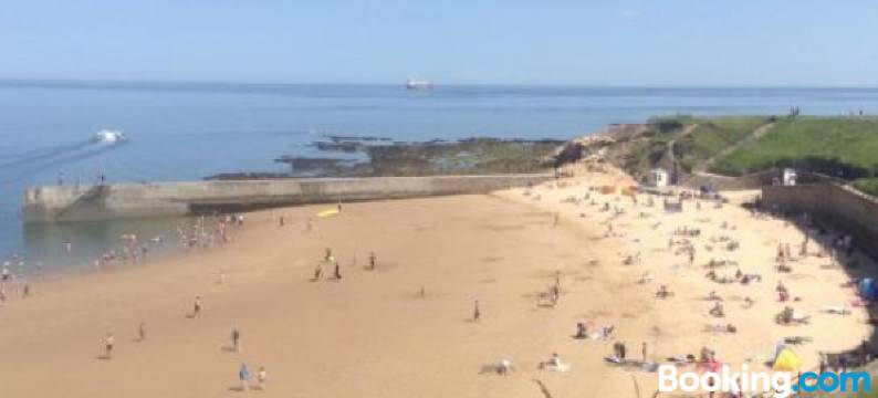 松林旅馆(The Pines Guest House)图片