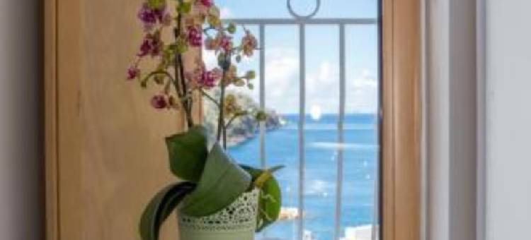 克图套房酒店(Coltur Suites)图片