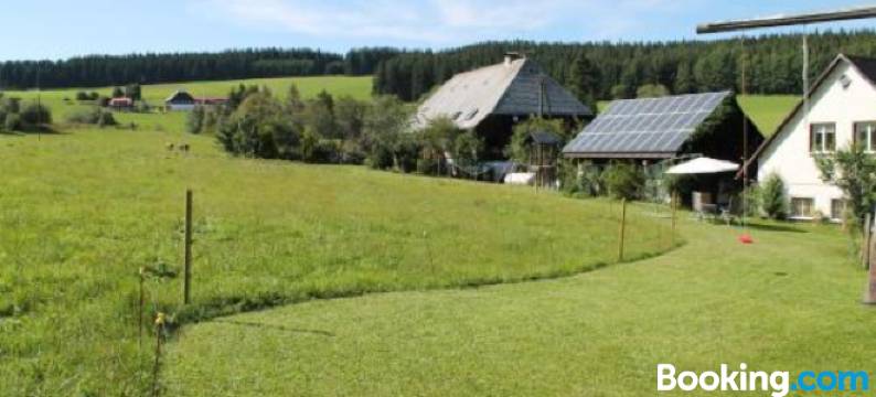 施瓦扎瓦尔德霍夫度假屋(Ferienwohnung Schwarzwaldhof)图片