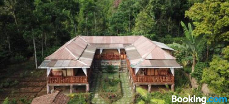 伊真火山矿工之家民宿(Ijen Miner Family Homestay)图片