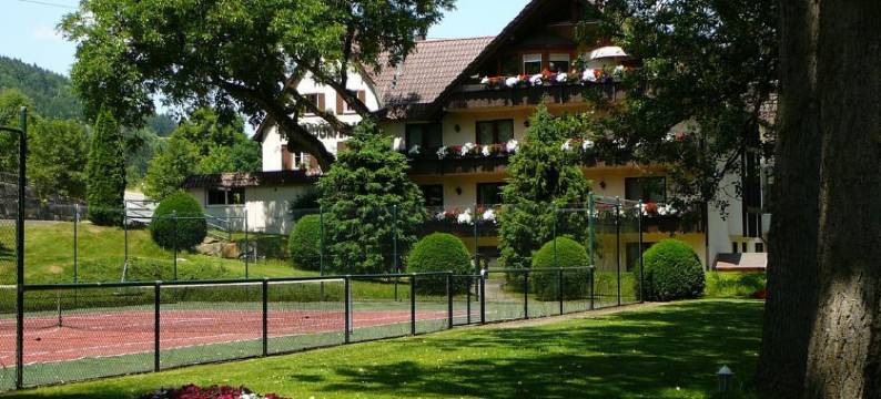 普隆德菲磨坊乡村酒店(Landhotel Pfrondorfer Mühle)图片