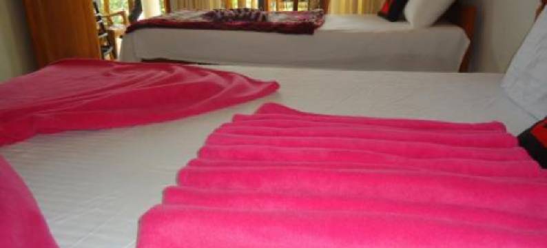 自然之光寄宿家庭(Nature's Glow Homestay and Resturant)图片