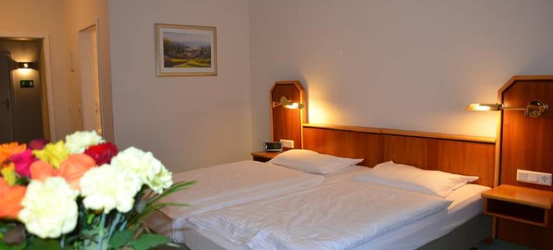 豪斯公园酒店(Hotel Haus am Park)图片