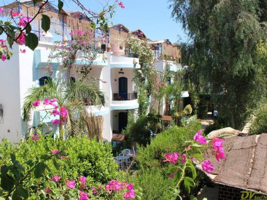 El Gezira Garden Hotel Luxor Hotel Reviews And Room Rates