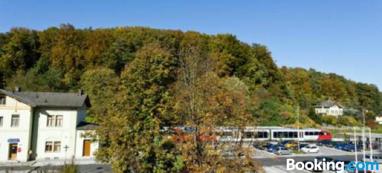 火车住宿加早餐旅馆(Gasthof "zur Bahn")图片