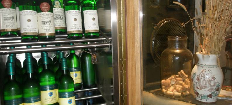 摩拉瓦酒店(Hotel Morava)图片