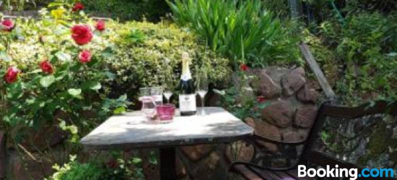 罗森布什酒店(Hotel Rosenbusch)图片