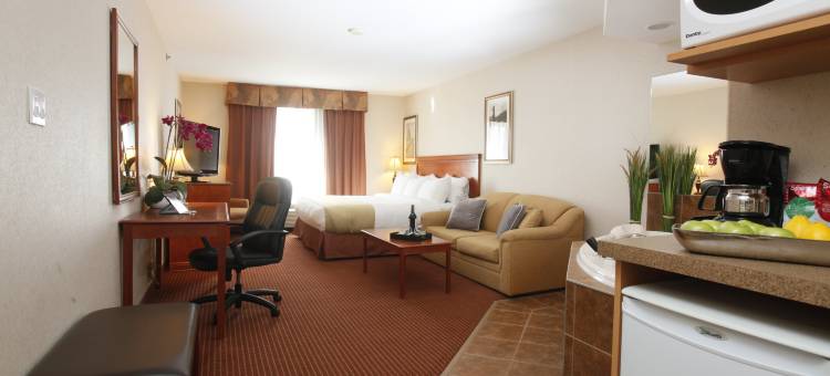 石桥道森克里克酒店(Stonebridge Hotel Dawson Creek)图片