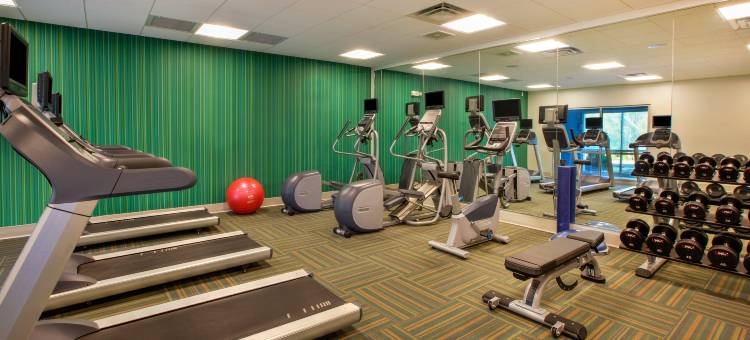 纽卡斯尔智选假日套房酒店(Holiday Inn Express & Suites New Castle)图片