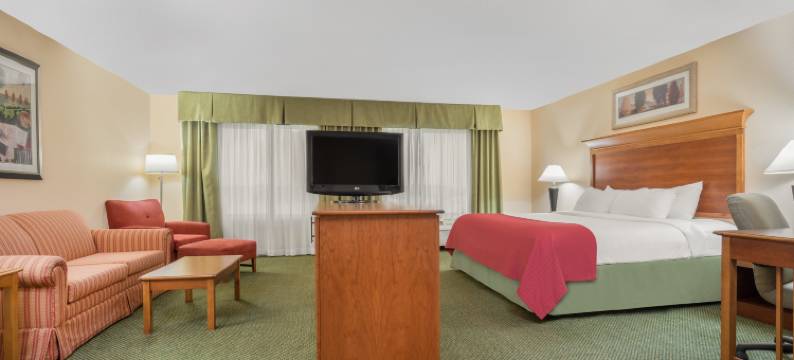 明尼阿波利斯 - 奥茨戈花园温德姆酒店(Wyndham Garden Otsego-Minneapolis)图片