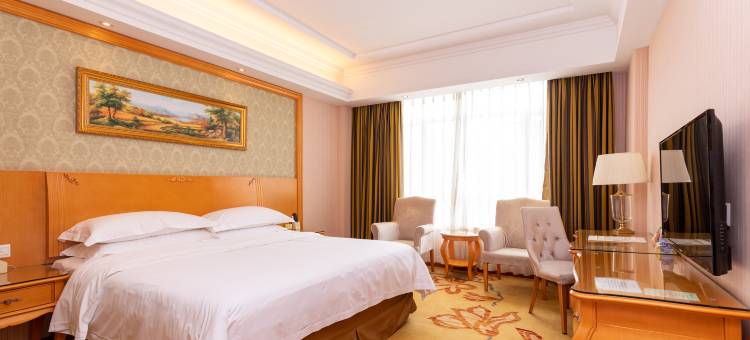 维也纳酒店(连平店)图片