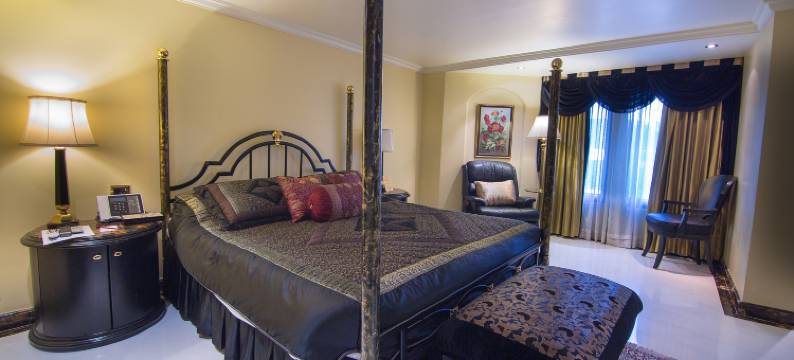 孟买维帕勒兰花酒店(The Orchid Hotel Mumbai Vile Parle)图片