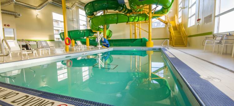 圣约翰斯政府中心假日酒店(Holiday Inn ST. John's Conference Centre)图片