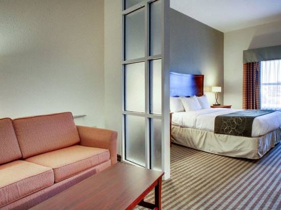 Comfort Suites Vicksburg Hotel Reviews And Room Rates Trip Com