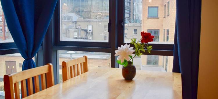 1 居公寓酒店 - 近都柏林休斯敦车站(1 Bedroom Apartment Near Heuston Station Dublin)图片