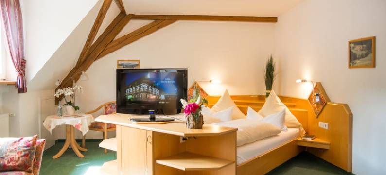 德雷伊雪球旅馆(Gasthaus Drei Schneeballen)图片