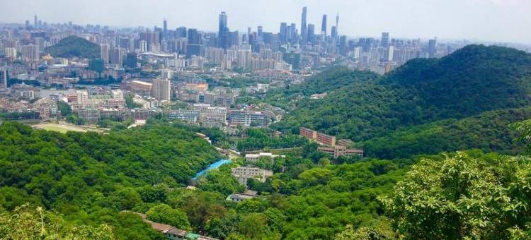 流花宾馆(广州火车站地铁站白马服装城店)图片