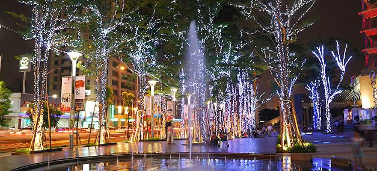 高雄花乡汽车旅馆-莲潭馆图片