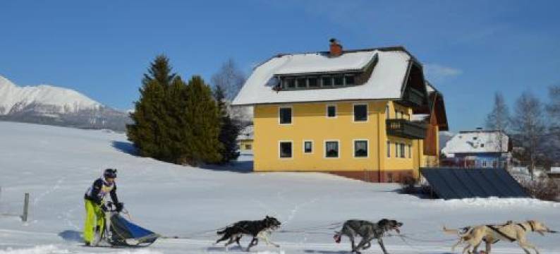 Appartement Lasshofer图片