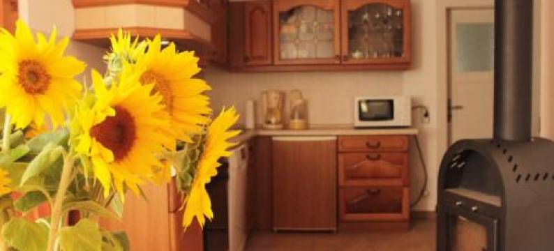 Ferienhaus Mühlberg图片