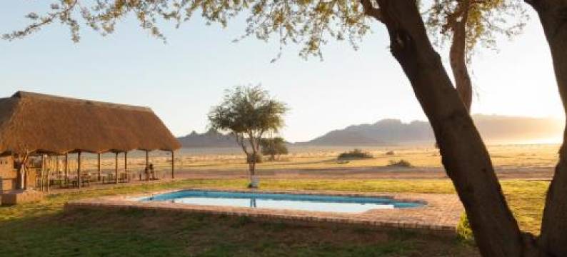 沙漠营地酒店(Desert Camp)图片