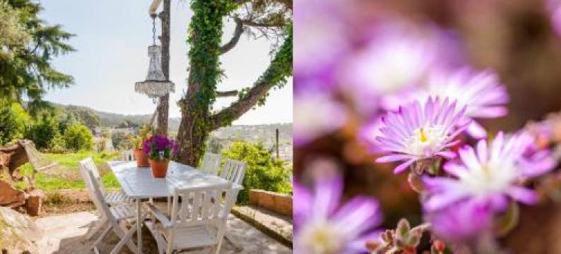 施尔特旅馆(The Shelter)图片