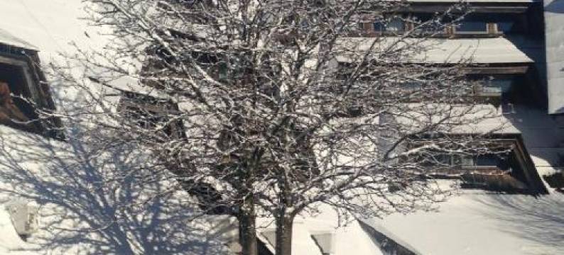 Apartmani Kopaonik Centar Maglic图片